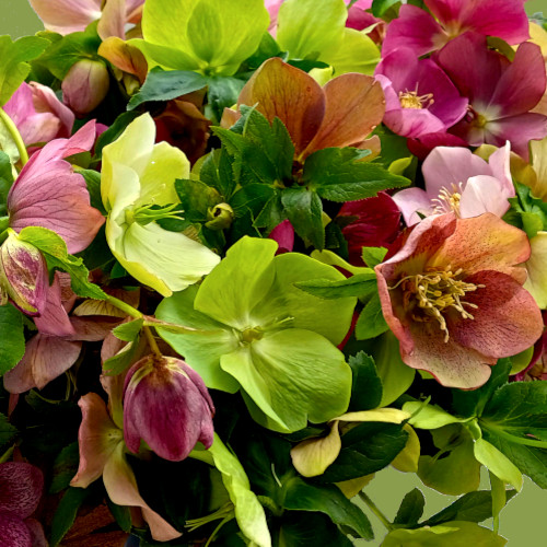 First Flowers Bouquet Image